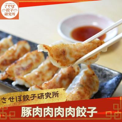 ふるさと納税 佐世保市 〈させぼ餃子研究所〉豚肉肉肉肉餃子　計96個!