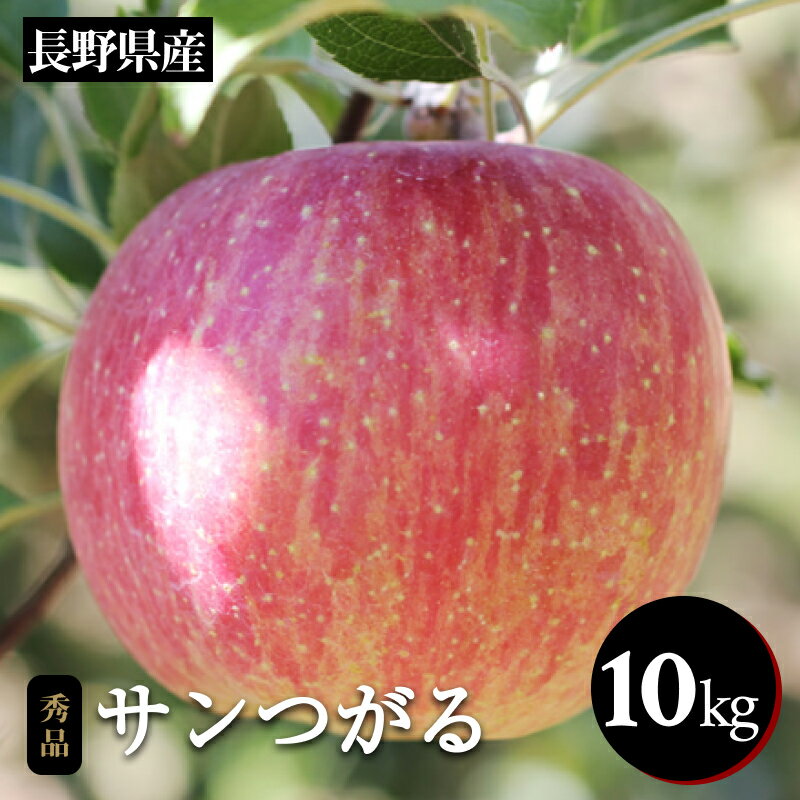 【ふるさと納税】りんご の 一番手! 長野県産 サンつがる 約10kg 秀品 〈2025年9月上旬〜9月中旬発送〉| 果物 くだもの フルーツ りんご 林檎 リンゴ 長野県 信州 南信州 飯田市