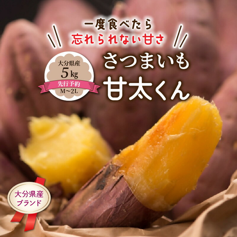 【ふるさと納税】先行予約 さつまいも 甘太くん 5kg 大分県産 M～2L