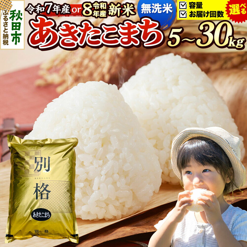 【ふるさと納税】米 あきたこまち【無洗米】 秋田県産 《選べる R7年産／R8年産 新米受付×容量×お届け回数》 5kg・10kg・20kg・30kg （5kg小分け袋） [新米 先行予約 先行受付 米 コメ 無洗米 あきたこまち おいしい 美味しい]