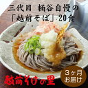 【ふるさと納税】【定期便3回】創業90余年の老舗・越前そば　三代目自慢のそば「越前そば20食」　楽天そばランキング常連の 越前そばの里がふるさと納税でも！送料無料 そば 越前そば 福井県 越前市 おうち時間 蕎麦（18209）