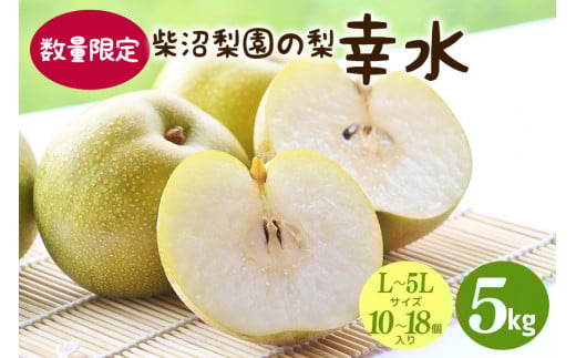 【先行予約/8月中旬から発送】 柴沼梨園の梨 （ 幸水 ） 梨 5kg 10～18個入り L～5Lサイズ ナシ なし 国産 茨城 秋 旬 フルーツ 果物 数量限定 先行予約 旬の果物 くだもの サイズ 品種 幸水梨 産地 茨城県 くだもの ジューシー 果肉 酸味 ギフト 贈答用 家庭用