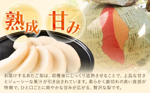 梨 あたご梨 約4kg 5玉入り カプセル西江果樹園《12月上旬-12月中旬頃出荷》岡山県 笠岡市 送料無料 なし 梨 ナシ 愛宕梨 果物 大玉 岡山県産 国産 フルーツ お取り寄せフルーツ