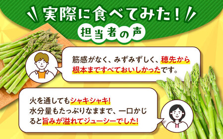 【5月上旬以降順次発送】 グリーンアスパラガス 1kg (S/露地栽培) アスパラ 野菜 [AJAM009]