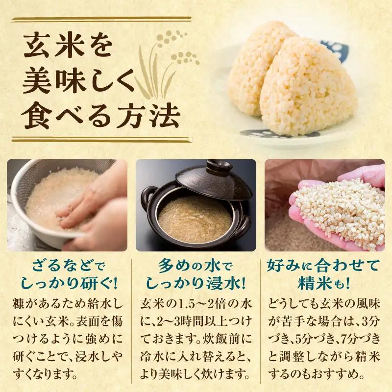 【定期便2回】令和7年産 おぼろづき 玄米 10kg（5kg×2袋）雨竜産 北海道