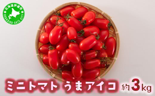 [5525-0365]【 2025年 発送 】先行予約 北海道 伊達 ミニトマト うま アイコ 約3kg  ジューシー プチ トマト 甘い 濃厚 彩り 鮮やか 野菜 産地直送