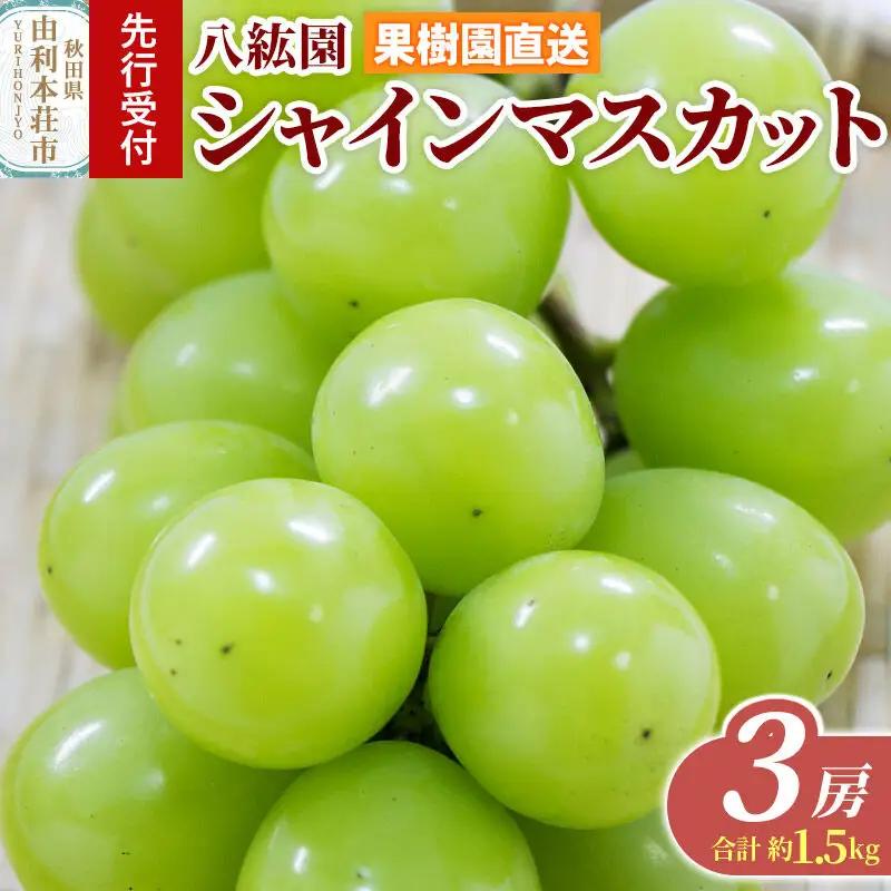 《先行受付》シャインマスカット 3房（合計 約1.5kg）秋田県 由利本荘市産 八紘園