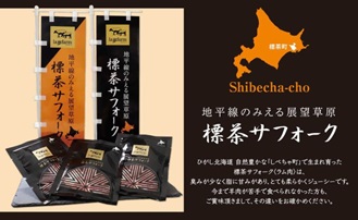 北海道産 標茶サフォーク 業務用 生ラム ひき肉 1kg（250g×4）