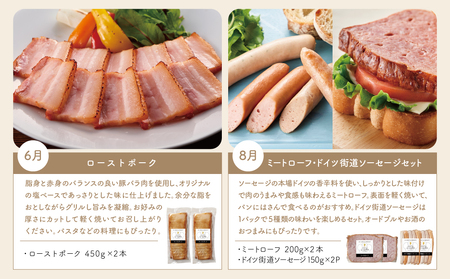【定期便 全6回：偶数月発送】お肉のおかず定期便［みなみさつまのミートデリ］ ハンバーグ ウインナー ソーセージ ローストポーク ハム ピスタチオ入り フランクフルト ミートローフ ローストビーフ 鹿