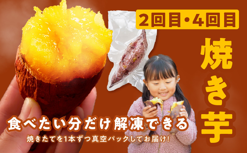 【定期便】干し芋 600g/焼き芋1kg 全4回 交互便【ほしいも 芋 いも 無添加 紅はるか 干しいも おやつ サツマイモ さつまいも】 099Z525_イメージ3