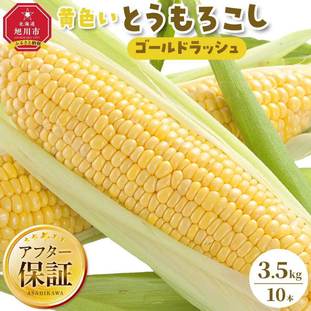【先行予約】旭川近郊産　黄色いとうもろこし(ゴールドラッシュ) 3.5kg(10本) 2026年8月上旬から発送開始 | とうもろこし 北海道 _04842