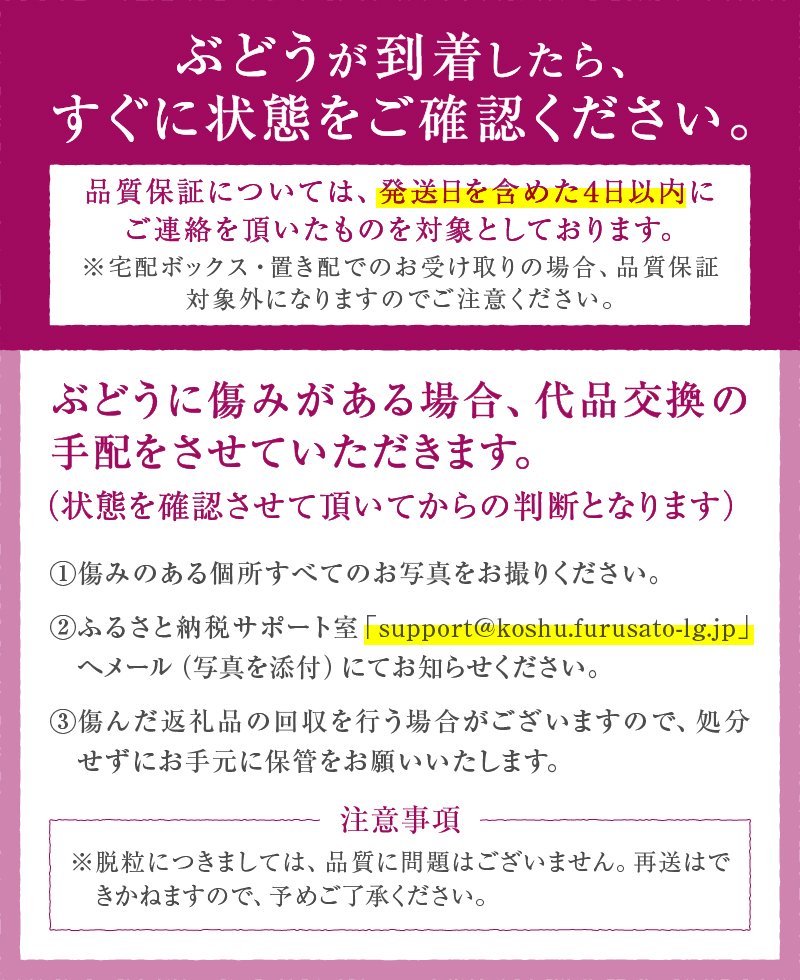 クイーンセブン（種無し）2房（400gパック×2）朝採り直送（AF）B-459