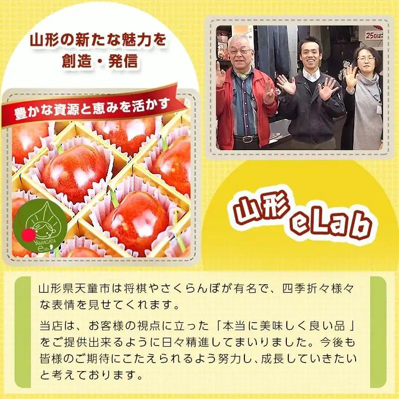 山形 の 麺 お楽しみ セット 20人前 鳥中華 ラーメン 蕎麦