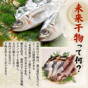 【干物】 未来干物 おまかせ3種セット 合計6パック ひもの ひもの