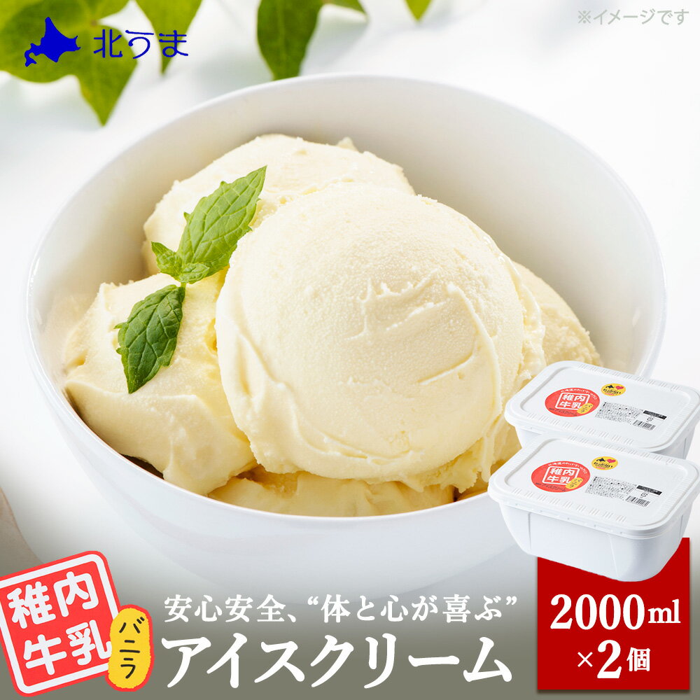 【ふるさと納税】【業務用】稚内牛乳アイスクリーム2000mlバニラ×バニラ2個セットアイス アイスクリーム スイーツ デザート 氷菓 牛乳 北海道ふるさと納税 稚内 ふるさと納税 北海道 【配送不可地域：離島・沖縄県】