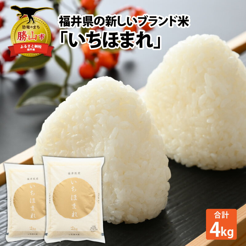 【ふるさと納税】令和8年産 福井県の新しいブランド米 いちほまれ2kg ×2袋（計 4kg） / いちほまれ お米 米 こめ ブランド米 精米 白米 国産 福井県産 勝山市