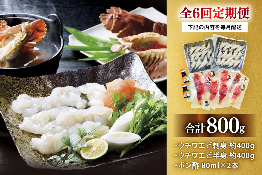 うちわえび エビ 海老 刺身 しゃぶしゃぶ 海鮮 6回 定期便 ウチワエビ刺身 約400g・ウチワエビ半身 約400g セット 総計4.8kg [ひばり 長崎県 平戸市 hr42bgy420357] 