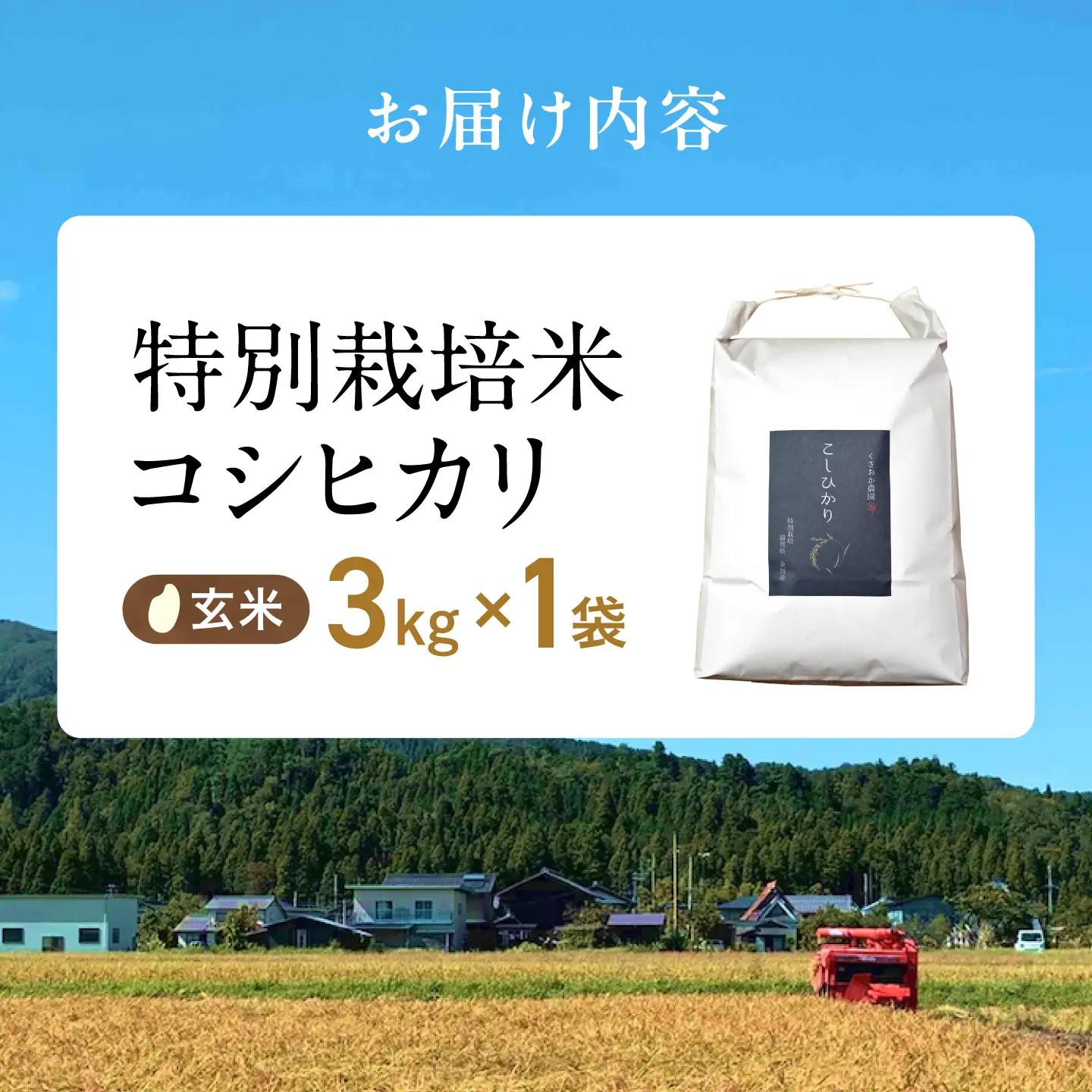 特別栽培米コシヒカリ3kg 玄米 滋賀県長浜市/くさおか農園[AQEB004]