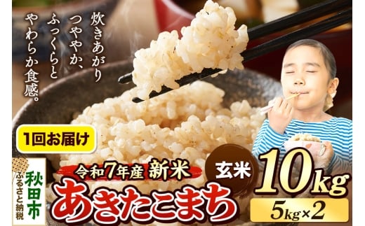 《令和7年産 新米先行受付》 米 あきたこまち 10kg（5kg×2袋） 【玄米】 秋田県産