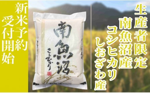 
            【新米予約・令和7年産】定期便６ヶ月：精米10kg生産者限定 南魚沼しおざわ産コシヒカリ【2025年10月上旬より順次発送予定】
          