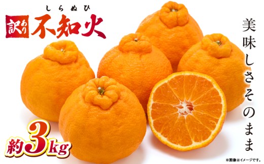 【先行予約】訳あり不知火約3kg【香川県共通返礼品】 | 果物 フルーツ 不知火 しらぬい フレッシュ ジューシー 香り 爽やか 旬の果物 人気 おすすめ 訳あり 生産者応援 青果物 糖度 香川県 三木町 |_mk006-112