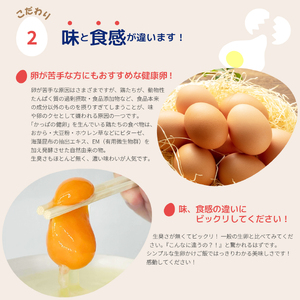 かっぱの健卵 20個入り【大熊養鶏場】たまご 卵 玉子 タマゴ 生卵 こだわり 卵かけご飯 TKG 国産 お取り寄せ 北海道 比布町 ぴっぷ 1006-002