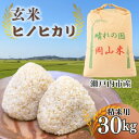 【ふるさと納税】米 令和6年産 「 ヒノヒカリ 」 玄米 30kg（精米用） 岡山県瀬戸内市産　お米 ヒノヒカリ　お届け：2024年11月上旬～2025年2月中旬まで