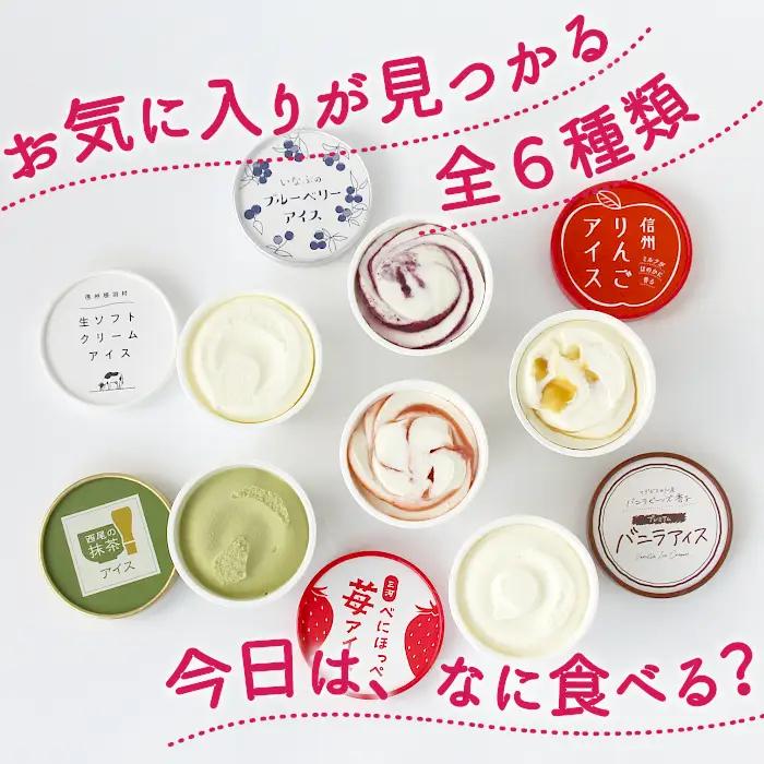 お中元 熨斗対応✿6種類のアイス 7個入り 80ml 生ソフト バニラ りんご いちご ブルーベリー 西尾 ミルク アソート 生乳 牛乳 ミルク スイーツ アイスクリーム ギフト 贈り物 お祝い 高級