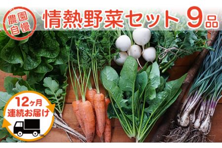 【12ヶ月連続お届け】農園自慢の情熱野菜セット（9品）【野菜 野菜セット おすすめ 詰め合わせ 定期 定期便 野菜詰め合わせ】