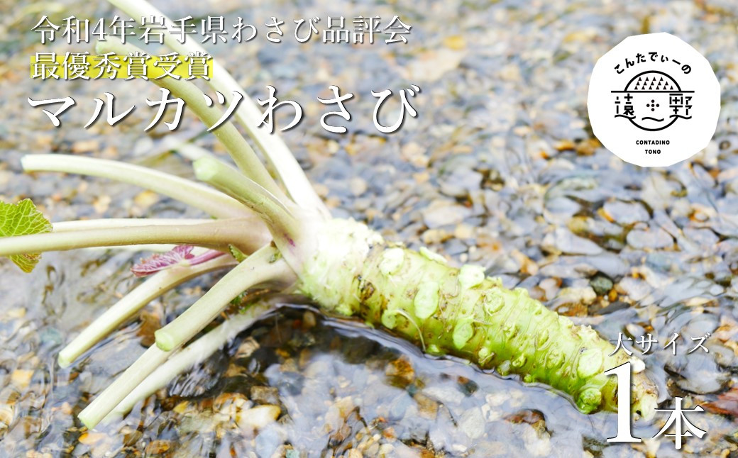 
【令和4年岩手県わさび品評会最優秀賞受賞】マルカツわさび　大サイズ 1本【こんたでぃーの遠野】
