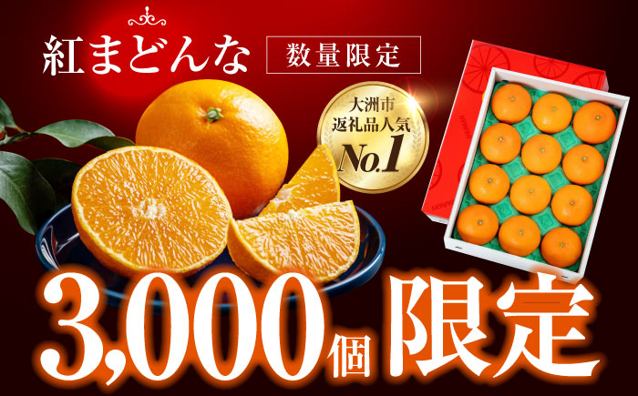  紅まどんな 4L〜2L玉サイズ 約3kg（8玉〜12玉入）【先行予約】【11月下旬から順次発送】化粧箱入 果物 フルーツ みかん ミカン まどんな 愛媛県大洲市/愛媛たいき農業協同組合[AGAO00