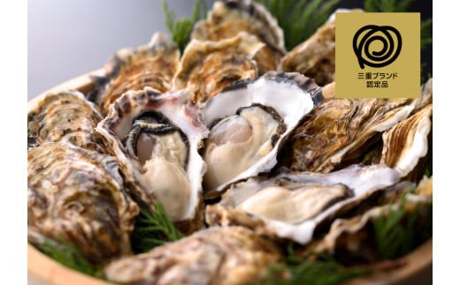 清浄 的矢かき（  殻付き 15個入 ・ むき身 500g セット ）   かき 牡蠣 生牡蠣 剥き身 セット ブランド 的矢牡蠣 生食 生食用 三重県 伊勢 志摩 志摩市 的矢 牡蠣専門店 養殖場 直送 新鮮 牡蠣料理 年末年始 お正月 お歳暮 贈答 魚貝類 魚貝 いせ しま まとや 4万円 40000円 四万円 佐藤養殖場