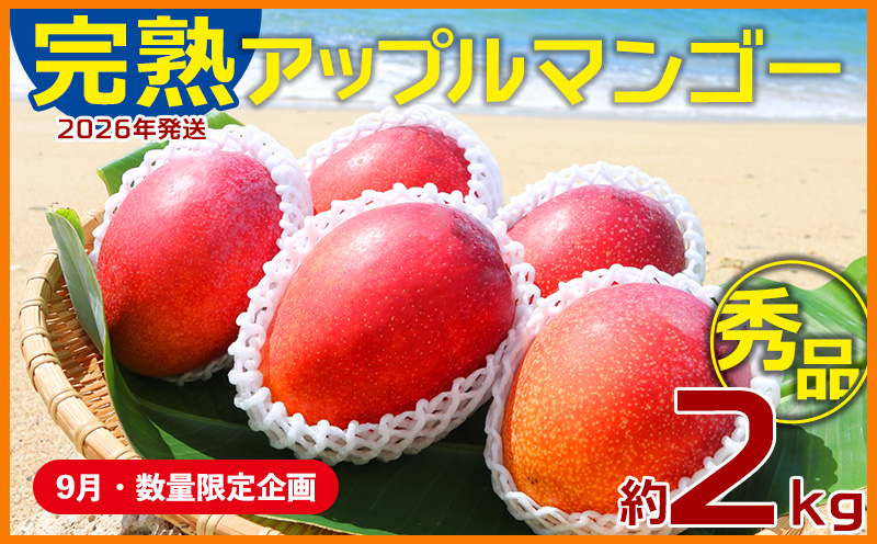 【9月・数量限定企画】【2026年発送】農園一番人気の完熟アップルマンゴー秀品・約2kg農園から直送！ 秀品 先行予約 沖縄 甘味 糖度 濃厚 美味しい お土産 おいしい ギフト とろける甘さ 香り アーウィン 果汁 高級 箱入り 化粧箱入り 見た目 きれい 綺麗