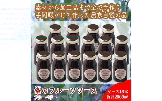 スイスで加工品を学んだ農家が手間暇かけた『手づくりジャムソース【ブルーベリー】』16本セット【 家庭用 自宅用 贈答品 贈答用 ギフト お取り寄せ お中元 お歳暮 贈り物 お祝い 神奈川県 小田原市 】