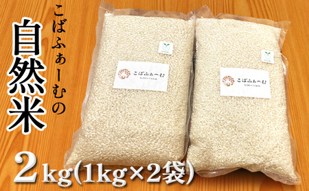 米 自然米 2kg 1kg×2袋 有機JAS 精米 米