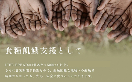 LIFEBREAD 10本 110g サクセム株式会社《30日以内に出荷予定(土日祝除く)》和歌山県 紀の川市 防災備蓄 賞味期限5年以上 ライフブレッド ブレッド