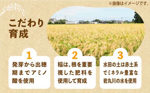 【全6回定期便】【先行予約】【令和6年産新米】 ひかりファーム の ミルキークイーン 9kg【2024年10月以降順次発送】《築上町》【ひかりファーム】 [ABAV019]