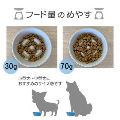 ふるさと納税 瑞浪市 美濃焼　陶器製ペット用フードボウル【早食い防止 丸平台フードボウル/ホワイトpet142】 |  | 02