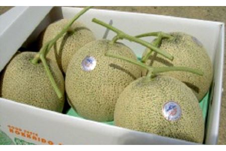 メロン　4～5玉　秀　8kg以上【めろん屋こいけ】【AB-004】