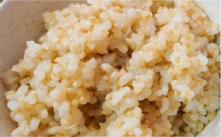 【数量限定】菊鹿の米 アイガモ農法米 玄米 2kg×2袋【有限会社 あそしな米穀】[ZBI001]