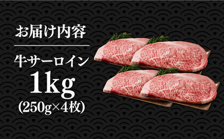 博多和牛サーロインステーキセット 1kg（250g × 4枚）【株式会社Meat Plus】《豊前市》肉 焼肉 ステーキ お土産 冷凍[VBB010] ステーキ サーロインステーキ 博多和牛ステーキ 