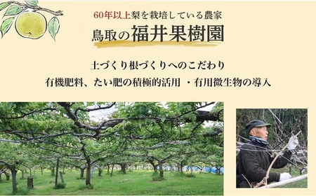 【期間限定】令和8年産 倉吉の梨 3種ミックス（王秋・晩三吉・あたご）計5kg 王秋 晩三吉 あたご梨 倉吉産 梨 ブランド梨 果物 フルーツ 先行予約 和梨 数量限定