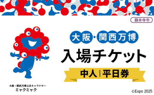 No.376 2025年日本国際博覧会入場チケット 平日券（中人）【藤井寺市返礼品】 ／ 万博 EXPO 2025 大阪万博 関西万博 夢洲 入場券 大阪府