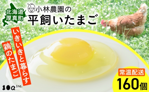 【常温配送】小林農園の平飼いたまご・無投薬 160個《厚真町》【テンアール株式会社】 有精卵 卵 鶏卵 玉子 生卵 平飼い 北海道 [AXAN124]