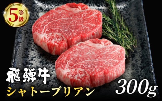 【5月発送】 飛騨牛 最高5等級 シャトーブリアン ステーキ用 300g(150g×2枚) 牛肉 和牛 肉 ステーキ ヒレ フィレ 最高級部位 赤身 肉 牛 牛肉 鉄板焼き お祝い 贈答 ギフト 贈り物 ふるさと納税 東白川村 岐阜 贅沢 霜降り 養老ミート