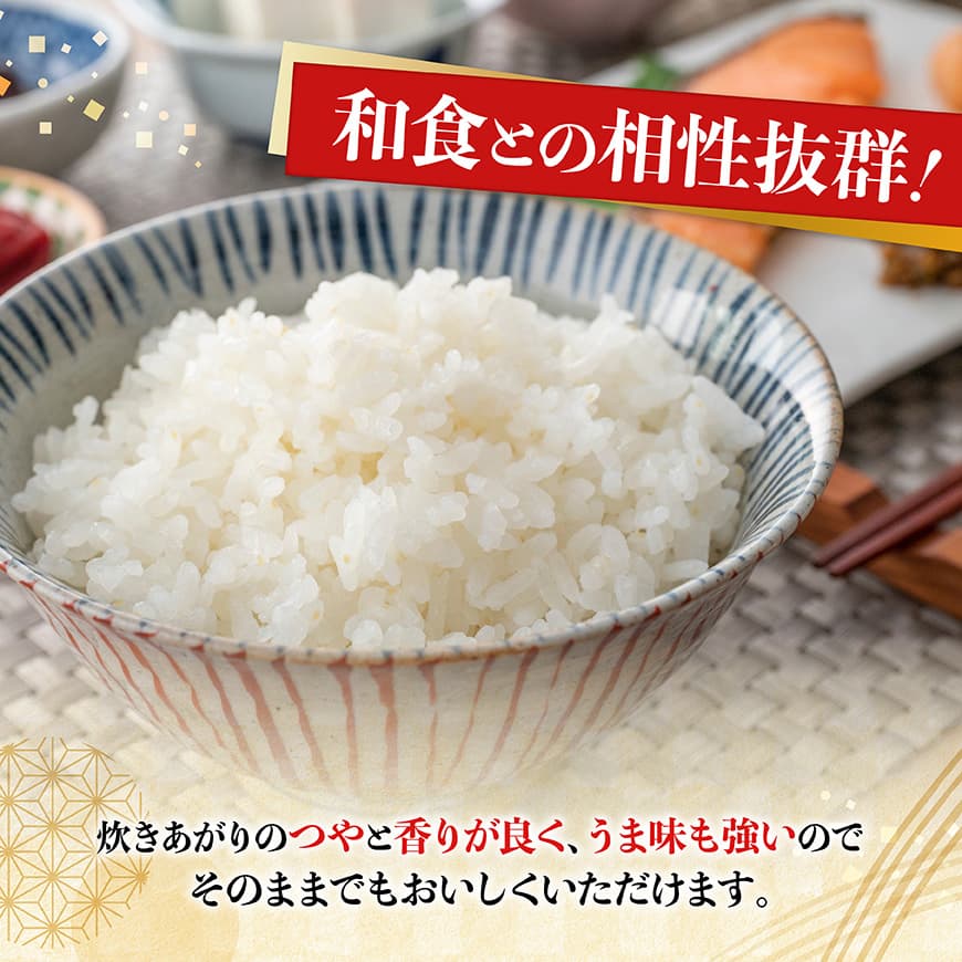 【令和7年産】宮崎県産米　村井農園産こしひかり（精米）2kg 【 米 お米 白米 精米 こしひかり 国産 宮崎県産 おにぎり 】