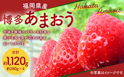 【2024年1月下旬より順次発送】福岡県産 博多 あまおう 約1.12kg（約280g×4パック） いちご ※北海道・沖縄・離島配送不可