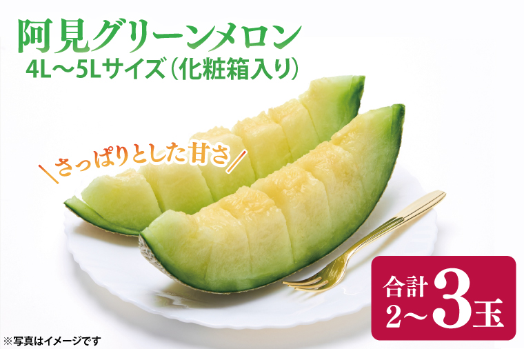 【6月下旬発送予定】メロン 4L～5L 2～3玉 約5.5kg 阿見グリーンメロン 茨城県 化粧箱入り 贈答 自分用 数量 限定 希少 品種（04-29）