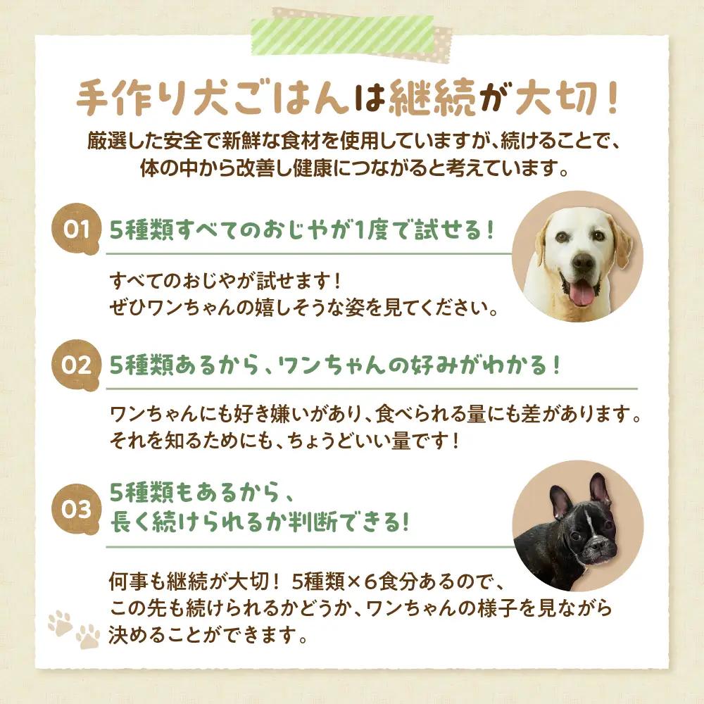 ワンちゃん用おじや15日間セット（100g）