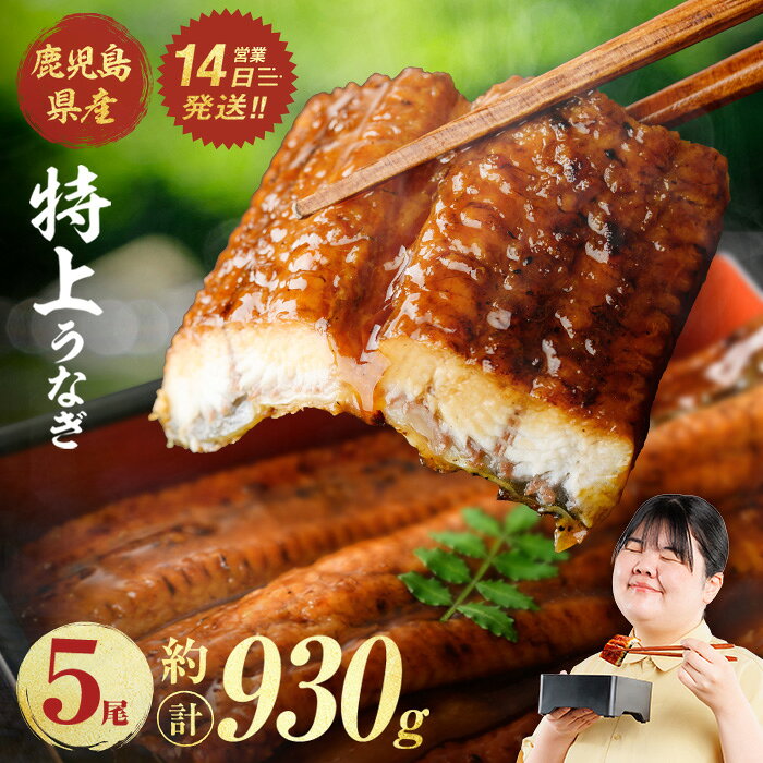 【ふるさと納税】＜配送回数が選べる！＞ 鹿児島県産 うなぎ 蒲焼 (計約930g・約186g × 5尾 / 定期便隔月3回 ) 鰻 ウナギ うなぎ うな重 蒲焼 かばやき 国産 冷凍 鹿児島 うな丼 鰻蒲焼 特上 【株式会社薩摩川内鰻】